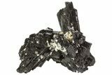 Black Tourmaline (Schorl) Crystal Cluster - Namibia #69165-1